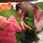 さかなや　いぬい - 天然インドマグロ中トロ,赤身,赤貝,いさき,