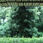 廚 菓子 くろぎ - 