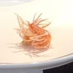 天ぷら  やました - 車海老のアシ