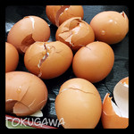 九十九里ファーム たまご屋さんコッコ - 卵10個の殻