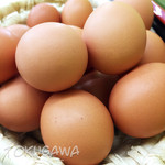 九十九里ファーム たまご屋さんコッコ - お代わり自由な卵