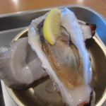 飛梅 - 生牡蛎