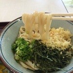 城山 - やや細めの手打ちうどん、のど越しが、いいですね