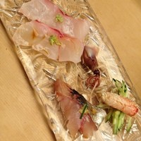 弁慶 - お造り