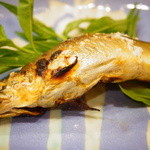 と村 - 郡上八幡の鮎