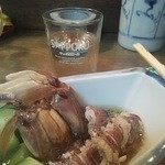 赤兎馬 - シャコエビ