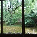 妙心寺山内 退蔵院 - お茶席からの眺め　桜の時季はいいだろうな♪