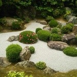 妙心寺山内 退蔵院 - 元信の庭