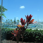 Cinnamon's - 2015年05月12日　PM 0:00　店内よりヨットハーバーを望