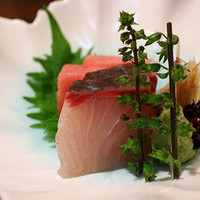 赤坂 蕎介 - 