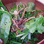 宇奈根 山中 - サラダ