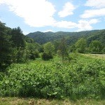 ツキサップじんぎすかんクラブ - 遠くの風景です。、