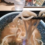 麺屋一燈 - ストレート太麺