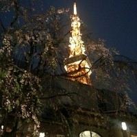 東京 芝 とうふ屋うかい - 