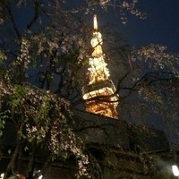 東京 芝 とうふ屋うかい - 