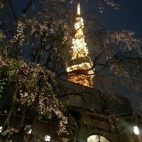東京 芝 とうふ屋うかい - 