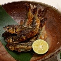 雅 【みやび】