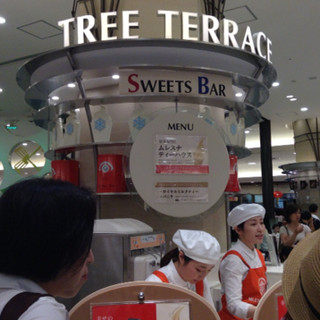 ムレスナティーハウス_2