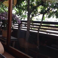 そば会席 立会川 吉田家 - 席からの眺め