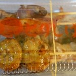 焼鳥とりしげ ナゴヤドーム店