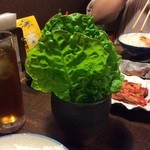 ほるもん亭 - お野菜こんもり