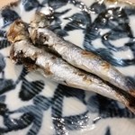 三代目 まる天 - めざし