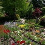 シーズンテラス - ５月初旬の庭