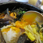 アリラン亭 - 2015.6 NEW 韓国山菜とナムルの石焼きビビンバ