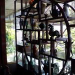 魯園菜館 - 骨董品の数々