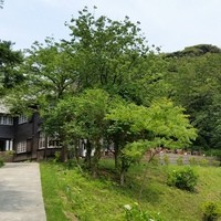 古我邸 - アプローチ３