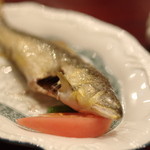 趙楊 - 軟烤鮎魚（あゆのとろびあぶり）