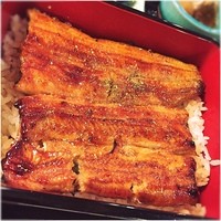 満寿家 - うな重✨