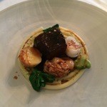 マダム・トキ - 霧島無菌豚肩ロースと蛤を赤ワインでブレゼしマッケロンティーニを添えて