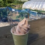 瑞香園 - ブルーベリーソフト