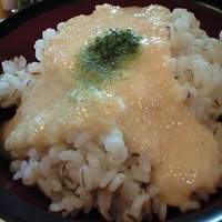 浅草むぎとろ 本店 - 