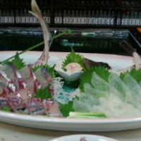 稚加榮 本店 - 鯵と皮はぎ