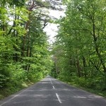 カフェ ファンディー - 湖畔へ続く道（2014年 6月）