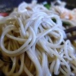 そば地酒処 司 - 麺