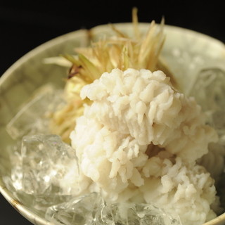 天草の鱧湯引き