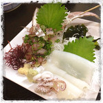 十八番 - 釣り鯵とダルマイカのお刺身。