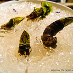 サーモンアンドトラウト - 2015.06