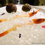 サーモンアンドトラウト - 2015.06