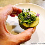 サーモンアンドトラウト - 2015.06