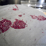 サーモンアンドトラウト - 2015.06