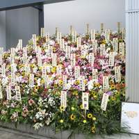 小梅 浦和総本店 - 