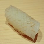 鮨 一幸 - アオリイカ