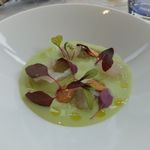 ロテスリーレカン - フォアグラのフランと空豆のヴルーテ　ハタのマリネ