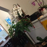 中華美食府 - ２０１５年６月