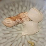 米倉 - 2015.6　向付