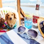 サーファーズ - 